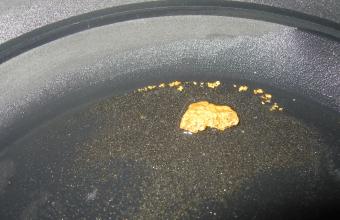 coolgardie gold nugget